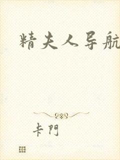 精夫人导航