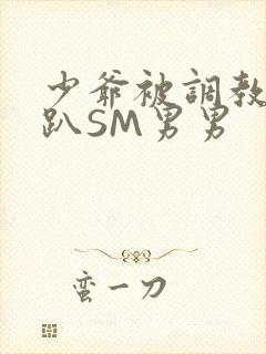 少爷被调教室跪趴SM男男