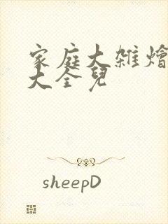 家庭大杂烩小说大全儿