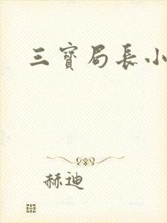 三宝局长小说
