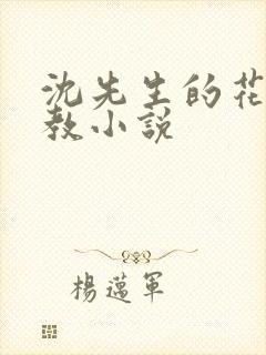 沈先生的花式调教小说