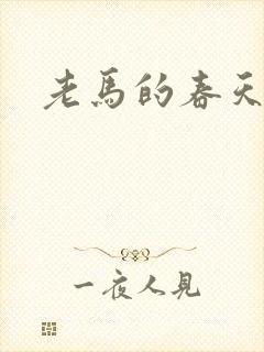 老马的春天敏静