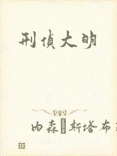 刑侦大明