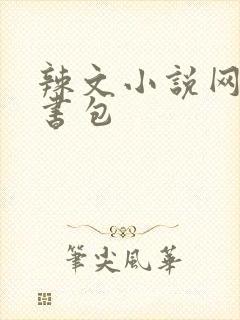 辣文小说网第二书包