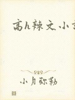 高h辣文小说