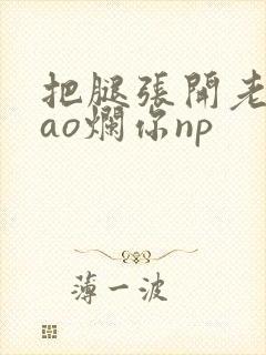 把腿张开老子cao烂你np