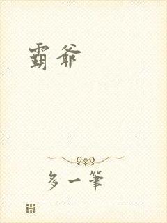 霸爷封面
