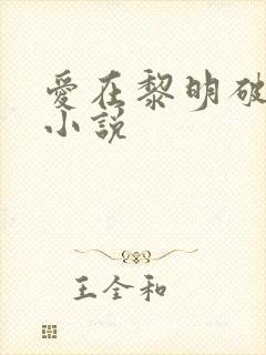 爱在黎明破晓前小说封面