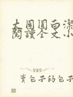 大团圆白洁免费阅读全文小说
