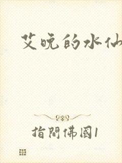 艾晚的水仙球