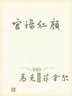 官场红颜封面