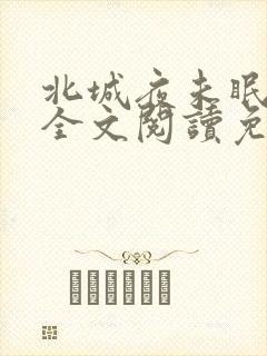 北城夜未眠小说全文阅读免费