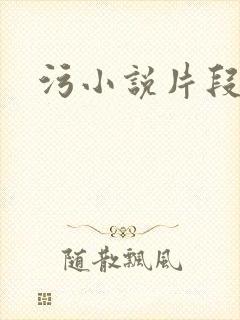 污小说片段封面
