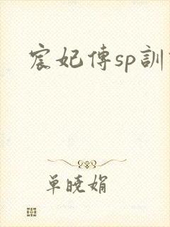 宸妃传sp训诫