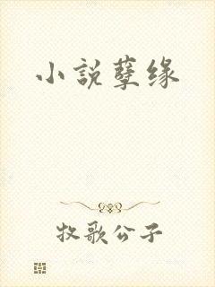 小说孽缘封面