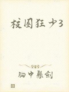 校园狂少3封面