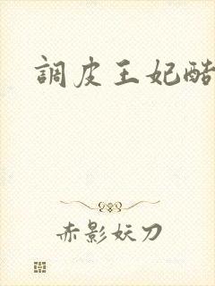 调皮王妃酷王爷