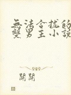 无法合拢的总裁双男主小说封面