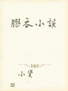 胶衣小说封面