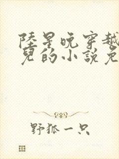 陆星晚穿越成婴儿的小说免费阅读全文封面