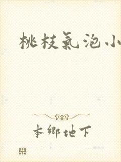 桃枝气泡小说封面