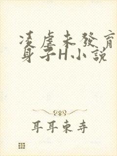 凌虐未发育的小身子H小说