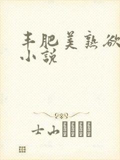 丰肥美熟欲妇乱小说封面