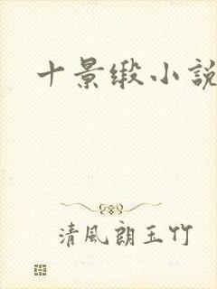 十景缎小说