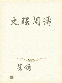 文强周涛