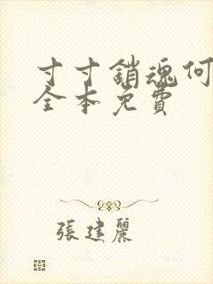 寸寸销魂何生祥全本免费封面