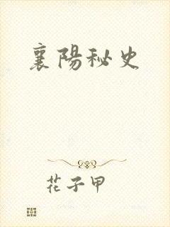 襄阳秘史