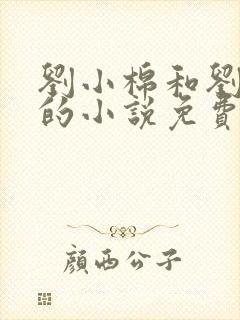 刘小棉和刘易文的小说免费阅读