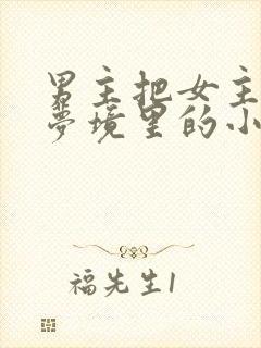 男主把女主拖进梦境里的小说