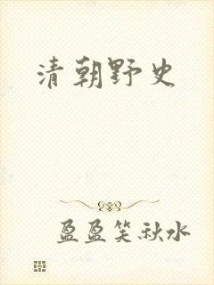 清朝野史封面