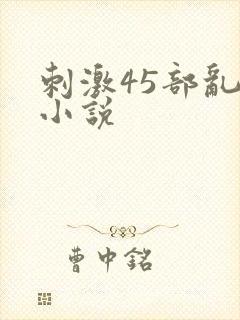 刺激45部乱亲小说封面
