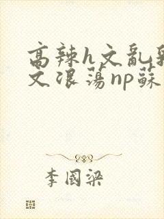 高辣h文乱乳h文浪荡np苏夏封面