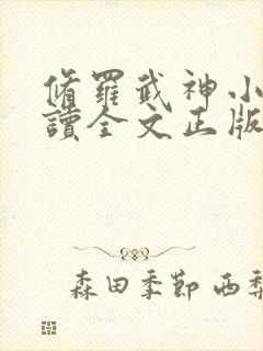 修罗武神小说阅读全文正版