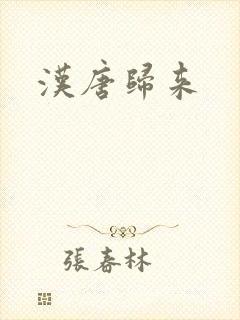 汉唐归来