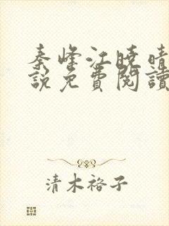 秦峰江晓晴的小说免费阅读