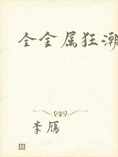 全金属狂潮小说封面