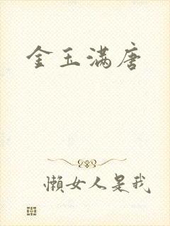 金玉满唐封面