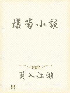 爆菊小说