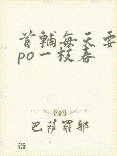 首辅每天要不够po一枝春封面