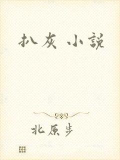 扒灰 小说封面