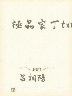 极品家丁txt