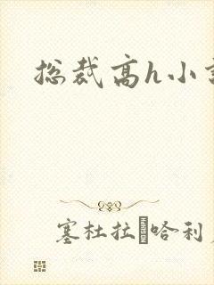 总裁高h小说封面