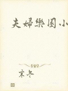 夫妇乐园小说