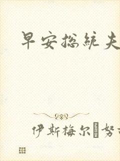 早安总统夫人