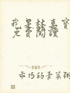 我是林喜宝小说免费阅读