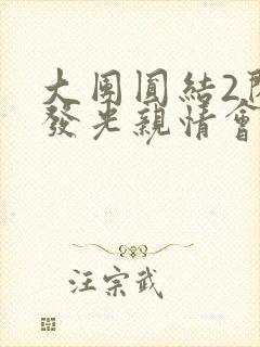 大团圆结2闪闪发光亲情会封面